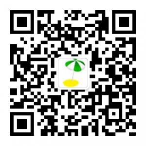 沈阳出行网微信公众号
