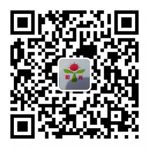 阳光水暖店o金乐微信公众号