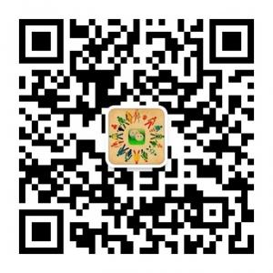 小旋风微平台微信公众号