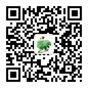 灿宝宝云南三七特产微店微信公众号