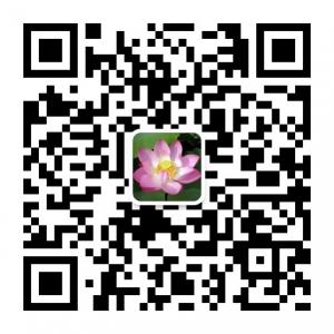 分享每一天微信公众号