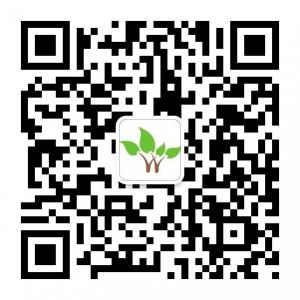 河东区绿秀苗木专业合作社微信公众号