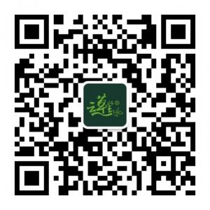 云草堂精油护肤重庆站微信公众号