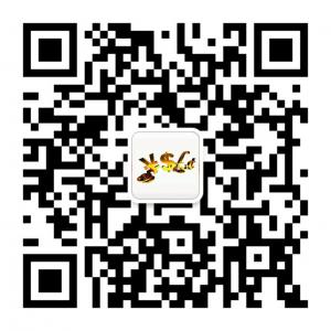 终极财富秘密微信公众号