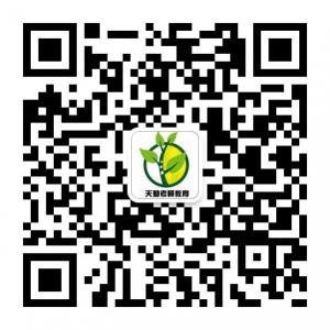 天勤考研教育微信公众号