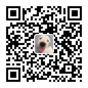 xiao笑什么笑微信公众号