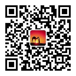 永恒的楼兰微信公众号