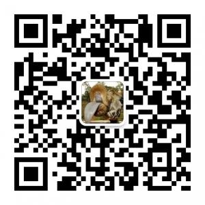 给生活加点料微信公众号