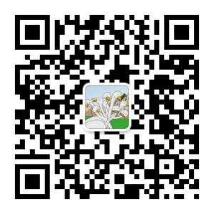 武汉九头鸟微信公众号
