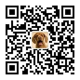 裤腰笑松了微信公众号