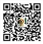 波妞妈妈韩妆微信公众号