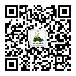 红果皮具设计微信公众号