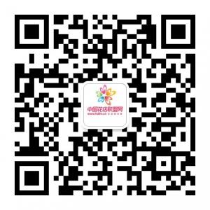 网趣微花店联盟微信公众号