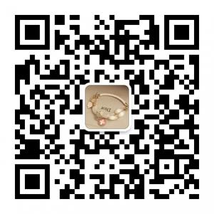 panzifang520微信公众号