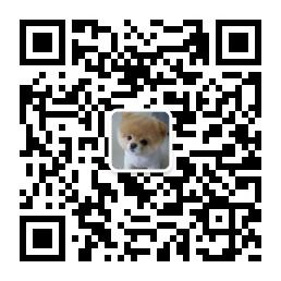 疯狂的土狗微信公众号