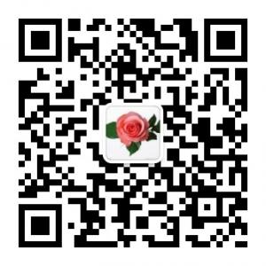 囧囧搞笑王微信公众号