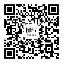 陶博士植物染发微信公众号
