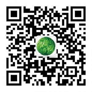 昆明玉器城微信公众号