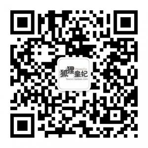 狐狸皇妃女包微信公众号