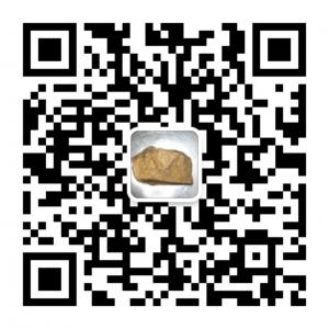 变成化石的记忆微信公众号