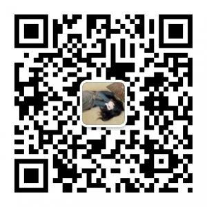 绽放青春无敌微信公众号