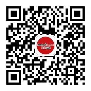 宁波儒森汉语微信公众号