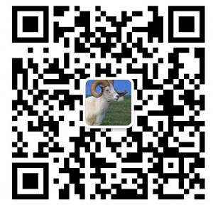 养羊交流交易微信公众号