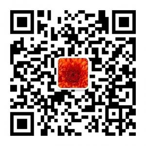 中国万向教育咨讯微信公众号