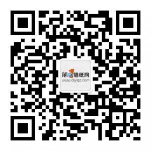 第一墙纸网微信公众号