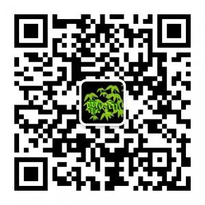 单方治大病微信公众号