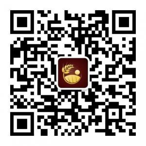 陈斌财经资讯微信公众号