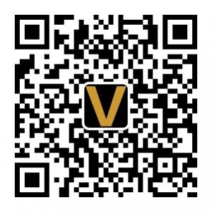 薇可VIVICAM服饰微信公众号
