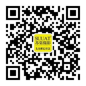 三亚苏棠婚纱摄影旅拍微信公众号