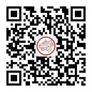 虎头牌手电筒微信公众号