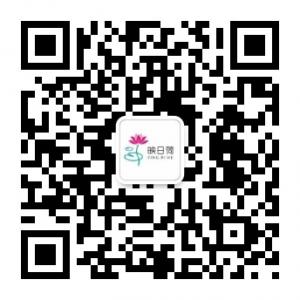 映日荷网站管家微信公众号