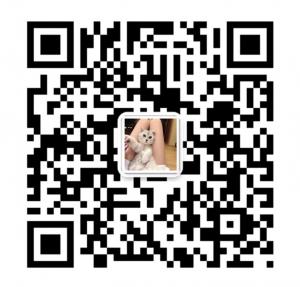 时尚创意生活微信公众号