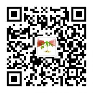 金融正能量微信公众号