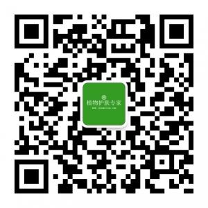 植物护肤专家微信公众号