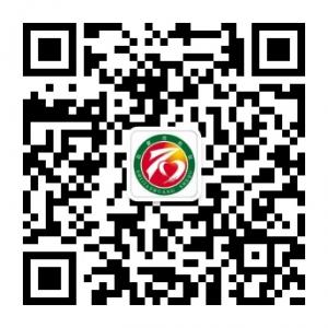 石家庄便民服务中心微信公众号
