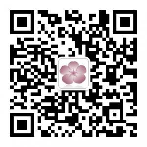 信男国际教育微信公众号