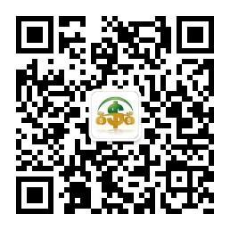 外汇投资现价实时指导微信公众号