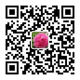 河南爱购网官方微信平台微信公众号