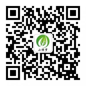小绿萝花卉微信公众号
