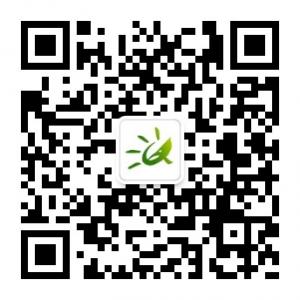 东营金桥国际旅行社微信公众号