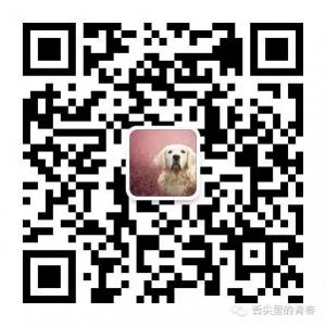 舌尖里的青春微信公众号