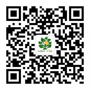 柠檬树婚纱摄影微信公众号