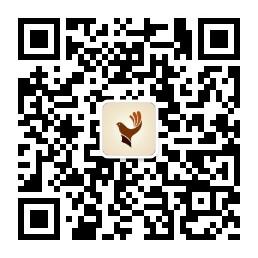 老顽童看盘微信公众号