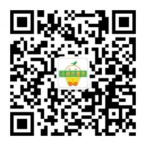 小桔灯童书微信公众号