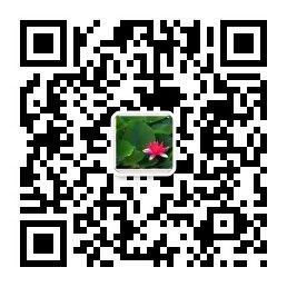 传统文化普天下微信公众号