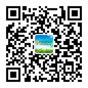 大悲拔苦反邪淫联盟微信公众号